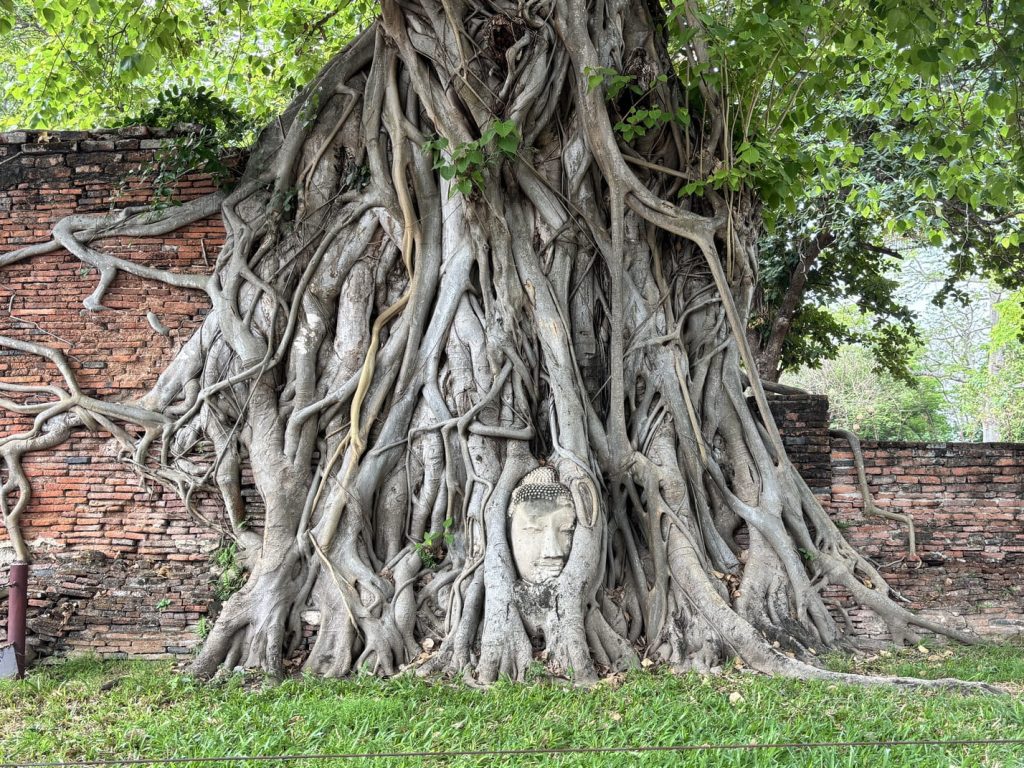 ワット・マハタート